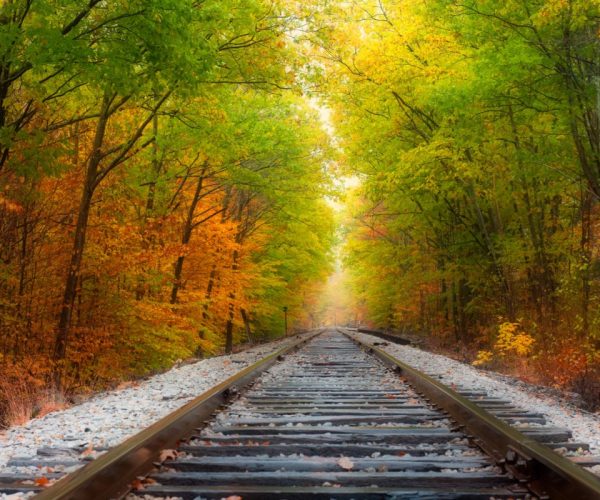 This International Train Ride Zooms Through East Coast’s Fall Splendor To Canada’s Most Cultural City